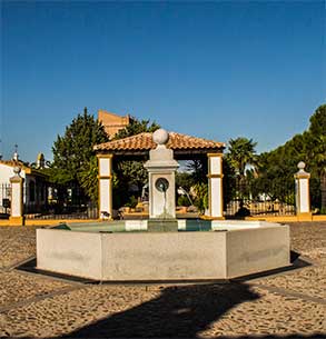 El patio de caballos