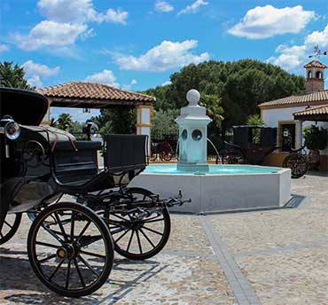 Calesa para los novios